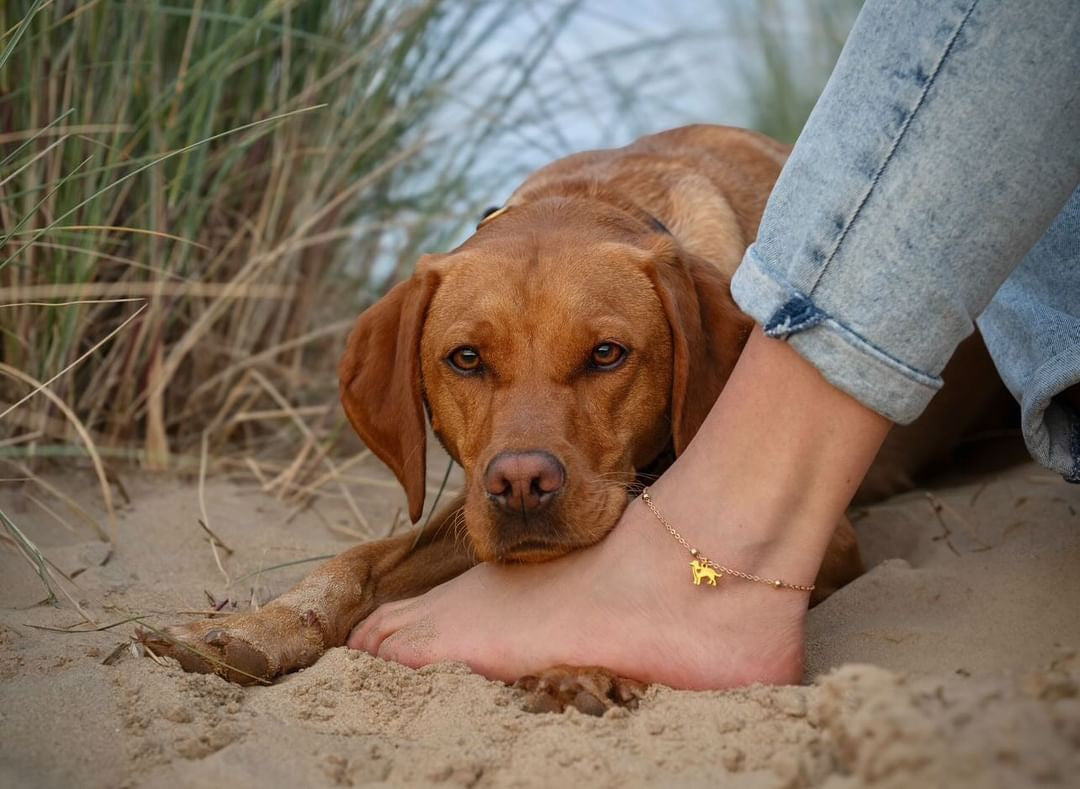 Anklets