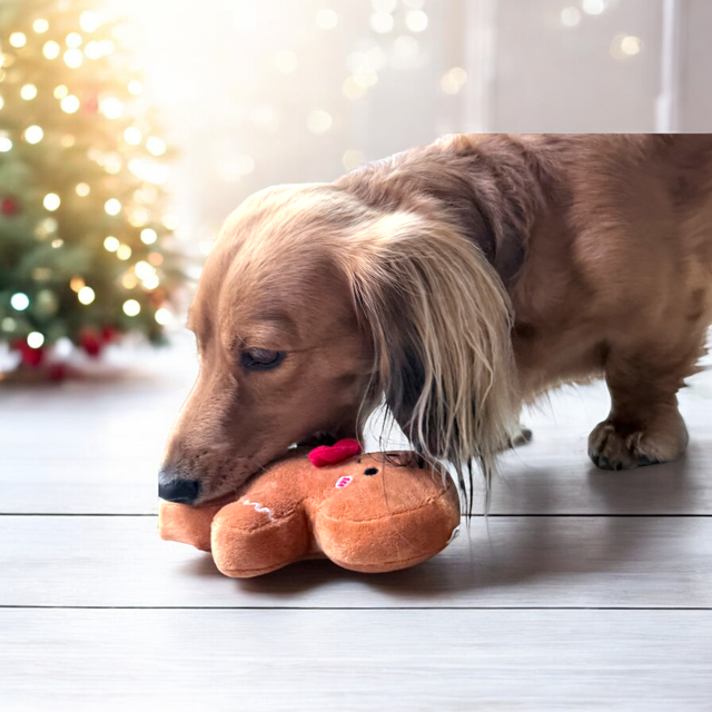 Gingerbread Plush