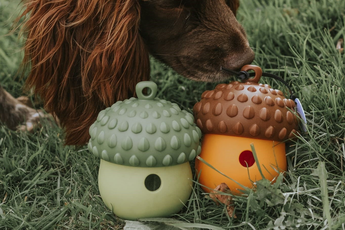 Acorn Treat Dispenser